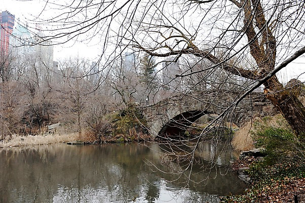 포토 JPG 주간 나무 식물 해외풍경 건축물 아메리카 풍경 빌딩 사람없음 야외 강 도시풍경 미국 도시 뉴욕 맨해튼 가교 국내포토 자연요소 해외 건축 북아메리카 건물 대륙 파일형식