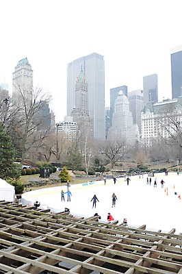 포토 JPG 주간 나무 식물 해외풍경 건축물 계절 겨울 레저 아메리카 사람 풍경 빌딩 여러명 야외 도시풍경 고층빌딩 미국 스케이트 도시 뉴욕 맨해튼 스케이트장 아이스링크 국내포토 자연요소 해외 건축 스포츠용품 다수 북아메리카 스포츠시설 건물 대륙 파일형식