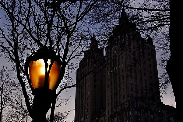포토 JPG 나무 식물 해외풍경 건축물 실루엣 야경 가로등 조명 아메리카 빌딩 사람없음 야외 도시풍경 고층빌딩 미국 도시 뉴욕 맨해튼 국내포토 해외 공공시설 건축 북아메리카 촬영기법 풍경 건물 야간 대륙 파일형식 풍경_경치