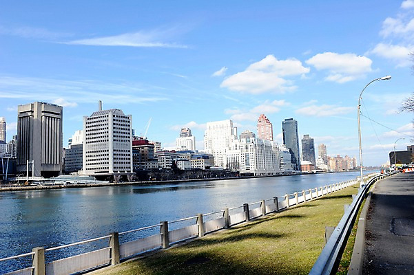 포토 JPG 주간 구름 해외풍경 건축물 공원 가로등 난간 하늘 아메리카 풍경 빌딩 잔디 사람없음 야외 강 도시풍경 고층빌딩 미국 도시 뉴욕 루즈벨트섬 국내포토 자연요소 식물 해외 공공시설 건축 섬 북아메리카 건물 대륙 파일형식