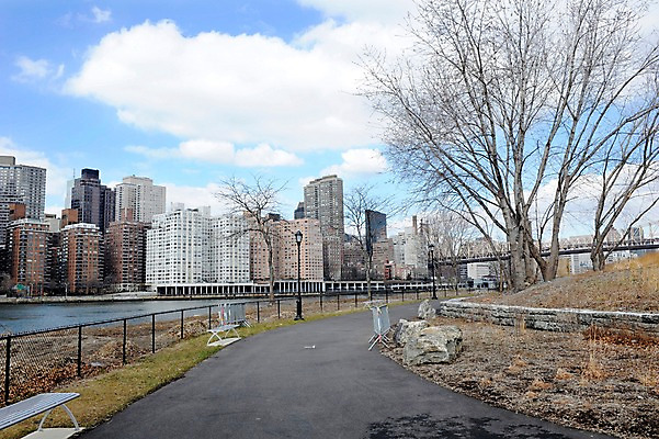 포토 JPG 주간 나무 식물 구름 해외풍경 건축물 공원 길 벤치 의자 하늘 아메리카 풍경 빌딩 사람없음 야외 울타리 강 도시풍경 고층빌딩 미국 도시 뉴욕 가교 루즈벨트섬 국내포토 자연요소 해외 공공시설 건축 섬 가구 북아메리카 건물 담장 대륙 파일형식