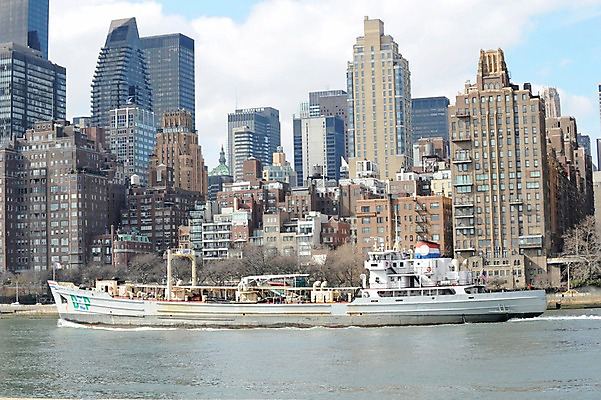 포토 JPG 주간 구름 해외풍경 건축물 현대건축 수상교통 하늘 아메리카 풍경 빌딩 사람없음 야외 강 도시풍경 고층빌딩 미국 도시 도심 뉴욕 선박 루즈벨트섬 국내포토 자연요소 해외 건축 교통수단 섬 북아메리카 건물 대륙 파일형식