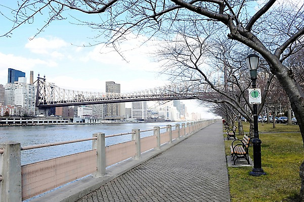 포토 JPG 주간 나무 식물 구름 해외풍경 건축물 공원 가로등 벤치 의자 난간 하늘 아메리카 풍경 빌딩 사람없음 야외 강 도시풍경 미국 원근감 도시 뉴욕 가교 루즈벨트섬 국내포토 자연요소 해외 공공시설 건축 뷰포인트 섬 가구 북아메리카 건물 대륙 파일형식