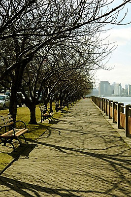 포토 JPG 주간 나무 식물 해외풍경 건축물 공원 벤치 의자 난간 아메리카 풍경 빌딩 사람없음 야외 도시풍경 미국 원근감 도시 뉴욕 루즈벨트섬 국내포토 자연요소 해외 공공시설 건축 뷰포인트 섬 가구 북아메리카 건물 대륙 파일형식