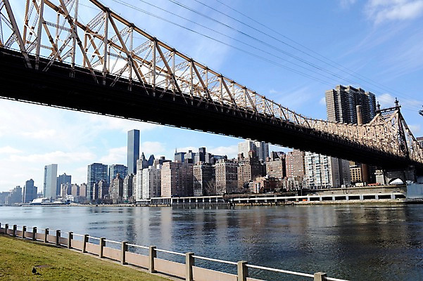 포토 JPG 주간 구름 해외풍경 건축물 난간 하늘 아메리카 풍경 빌딩 잔디 사람없음 야외 강 도시풍경 고층빌딩 미국 도시 뉴욕 가교 루즈벨트섬 국내포토 자연요소 식물 해외 건축 섬 북아메리카 건물 대륙 파일형식