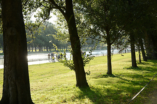 포토 JPG 주간 나무 식물 해외풍경 공원 아메리카 사람 풍경 잔디 여러명 야외 도시풍경 미국 도시 워싱턴 국내포토 자연요소 해외 공공시설 다수 북아메리카 대륙 파일형식