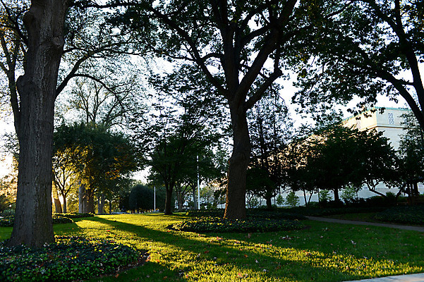 포토 JPG 주간 나무 식물 해외풍경 공원 아메리카 풍경 잔디 사람없음 야외 도시풍경 햇빛 미국 도시 워싱턴 국내포토 자연요소 해외 공공시설 북아메리카 태양 대륙 파일형식