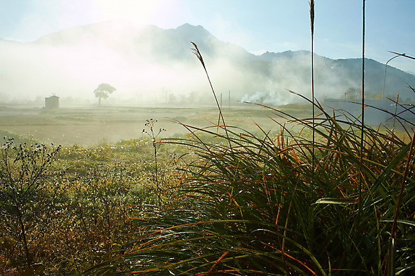 포토 JPG 주간 식물 자연 산 풍경 초원 사람없음 야외 농경지 농촌 풀 연기 국내포토 자연요소 농장 시골 생태계 파일형식