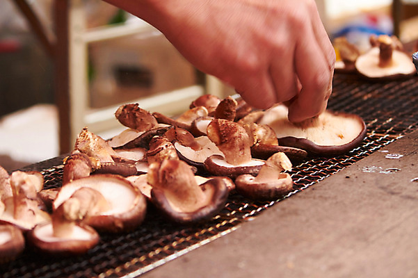 포토 JPG 손 음식 채소 식재료 근접촬영 아웃포커스 신체부위 버섯 그릴 구이 버섯구이 국내포토 뷰포인트 주방용품 촬영기법 사람 파일형식