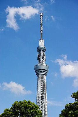 포토 JPG 주간 나무 식물 구름 해외풍경 건축물 현대건축 하늘 풍경 빌딩 사람없음 야외 도시풍경 탑 일본 도시 도쿄 스카이트리 국내포토 자연요소 해외 건축 아시아 건물 파일형식