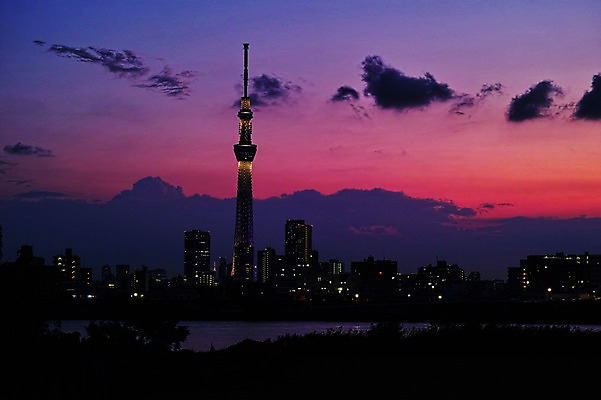 포토 JPG 구름 해외풍경 건축물 야경 하늘 빌딩 사람없음 야외 도시풍경 탑 일본 일몰 도시 도쿄 스카이트리 국내포토 자연요소 해외 건축 아시아 풍경 건물 노을 야간 파일형식 풍경_경치