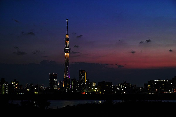 포토 JPG 구름 해외풍경 건축물 야경 하늘 빌딩 사람없음 야외 도시풍경 탑 일본 일몰 도시 도쿄 스카이트리 국내포토 자연요소 해외 건축 아시아 풍경 건물 노을 야간 파일형식 풍경_경치