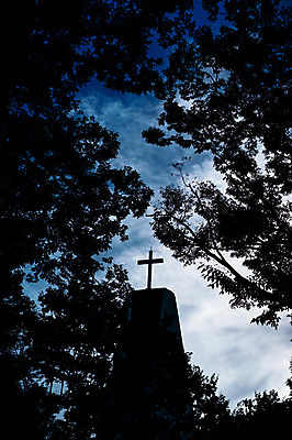 포토 JPG 주간 나무 식물 구름 해외풍경 실루엣 기독교 종교 십자가 하늘 풍경 사람없음 야외 도시풍경 교회 일본 도쿄 국내포토 자연요소 해외 아시아 종교건축 촬영기법 건물 도시 파일형식