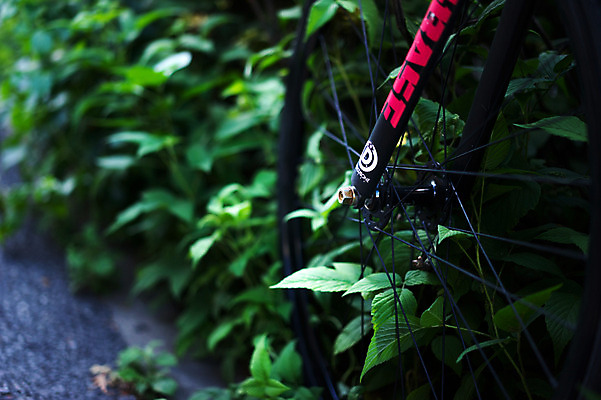 포토 JPG 주간 식물 육상교통 교통수단 잎 거리풍경 사람없음 야외 아웃포커스 도시풍경 일본 자전거 바퀴 도쿄 국내포토 자연요소 아시아 교통 거리 촬영기법 풍경 바이크 도시 파일형식