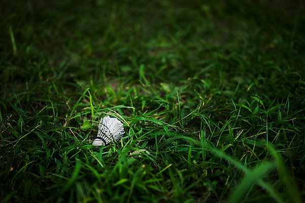 포토 JPG 주간 식물 스포츠용품 초원 사람없음 야외 아웃포커스 풀 셔틀콕 배드민턴 국내포토 자연요소 스포츠 촬영기법 구기 오브젝트 파일형식