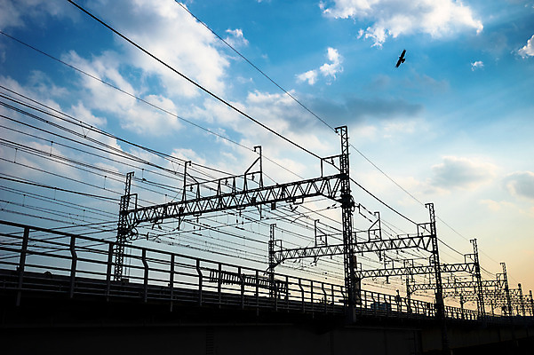 포토 JPG 주간 동물 구름 실루엣 조류 하늘 풍경 사람없음 야외 노을 일몰 전선 전봇대 국내포토 자연요소 공공시설 촬영기법 파일형식