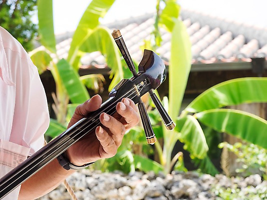 포토 JPG 식물 손 악기 음악 연주 일본문화 현악기 나뭇잎 주택 국악기 한명 사람 아웃포커스 신체부위 일본 일본전통 샤미센 국내포토 1 동양문화 전통 아시아 외국문화 잎 문화예술 촬영기법 국악 건물 파일형식