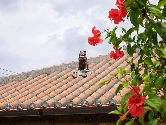 포토 JPG 주간 식물 건축물 꽃 하늘 지붕 주택 기와 풍경 사람없음 야외 조형물 조각상 국내포토 자연요소 건축 미술 건물 파일형식