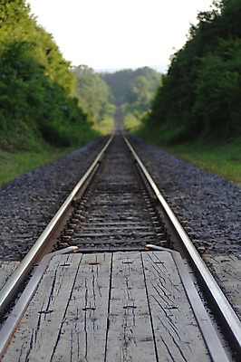 포토 JPG 주간 나무 식물 교통 교통시설 풍경 사람없음 야외 아웃포커스 기찻길 원근감 숲 철도의날 국내포토 자연요소 뷰포인트 촬영기법 시설 파일형식 법정기념일