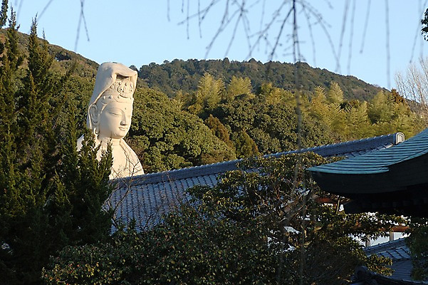포토 JPG 주간 나무 식물 전통 건축물 아시아 일본문화 지붕 산 풍경 사람없음 야외 조각상 일본 사찰 사원 불상 일본전통 관세음보살 교토 국내포토 자연요소 동양문화 건축 나라 외국문화 불교 비즈니스 종교건축 조형물 파일형식
