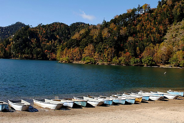 포토 JPG 주간 나무 식물 호수 수상교통 자연 풍경 사람없음 야외 항구 보트 숲 정박 선박 국내포토 자연요소 교통수단 배_교통 교통시설 생태계 파일형식