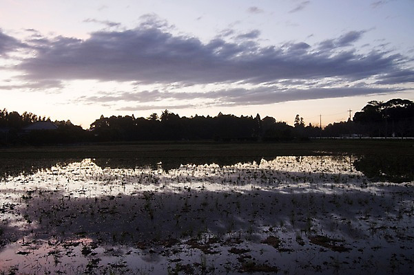 포토 JPG 구름 실루엣 자연 하늘 논 물그림자 풍경 사람없음 야외 물 농경지 노을 일몰 국내포토 자연요소 농업 촬영기법 그림자 농장 생태계 파일형식