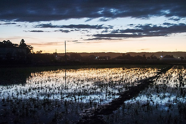 포토 JPG 구름 실루엣 자연 하늘 논 물그림자 풍경 사람없음 야외 물 농경지 노을 일몰 국내포토 자연요소 농업 촬영기법 그림자 농장 생태계 파일형식