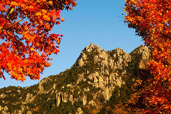 포토 JPG 주간 나무 식물 계절 단풍 자연 하늘 바위산 산 풍경 사람없음 야외 가을풍경 가을 돌_바위 바위 국내포토 자연요소 잎 돌산 생태계 파일형식 가을_계절