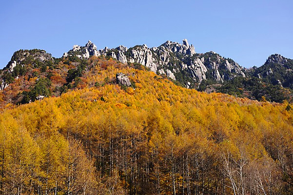 포토 JPG 주간 나무 식물 계절 단풍 자연 하늘 바위산 산 풍경 사람없음 야외 가을풍경 가을 숲 국내포토 자연요소 잎 돌산 생태계 파일형식 가을_계절