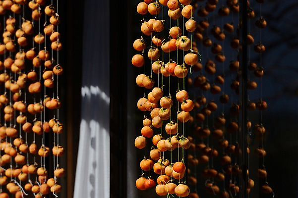 포토 JPG 음식 과일 건조 매달리기 감 사람없음 아웃포커스 곶감 국내포토 모션 촬영기법 건과일 파일형식