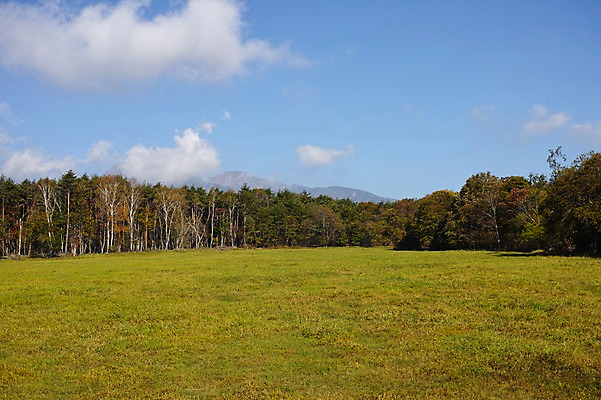 포토 JPG 주간 나무 식물 구름 계절 공원 자연 하늘 풍경 사람없음 야외 가을풍경 가을 숲 국내포토 자연요소 공공시설 생태계 파일형식 가을_계절