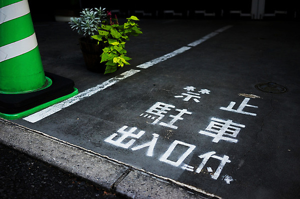 포토 JPG 주간 식물 해외풍경 화분 도로 교통 표시 거리 바닥 거리풍경 풍경 사람없음 야외 도시풍경 일본 금지 국내포토 자연요소 해외 아시아 길 교통시설 도시 파일형식