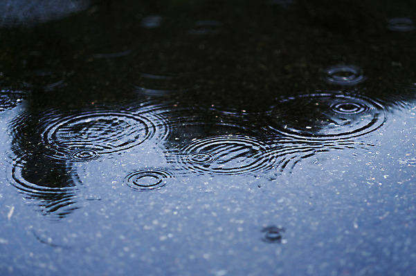 포토 JPG 주간 날씨 바닥 사람없음 야외 물 물방울 비 국내포토 자연요소 파일형식