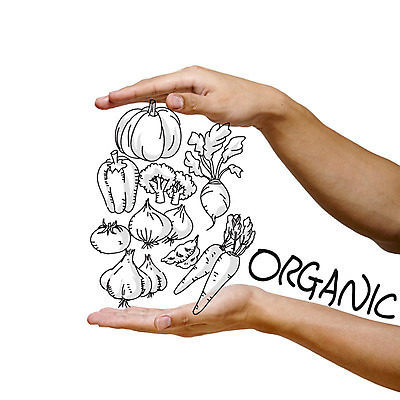 편집 편집이미지 손 백그라운드 채소 포토일러 호박 피망 건강 마늘 한명 사람 손짓 신체부위 당근 브로콜리 무 디지털합성 유기농 합성 이미지편집 AI파일 1 웰빙 모션 뿌리채소 파일형식 벡터