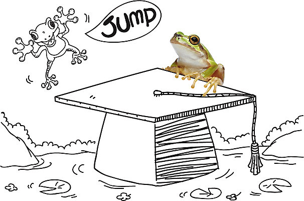 동물 편집 편집이미지 교육 백그라운드 두마리 학사모 포토일러 개구리 사람없음 점프 연못 디지털합성 합성 이미지편집 AI파일 모자_잡화 2 졸업 모션 양서류 파일형식 벡터