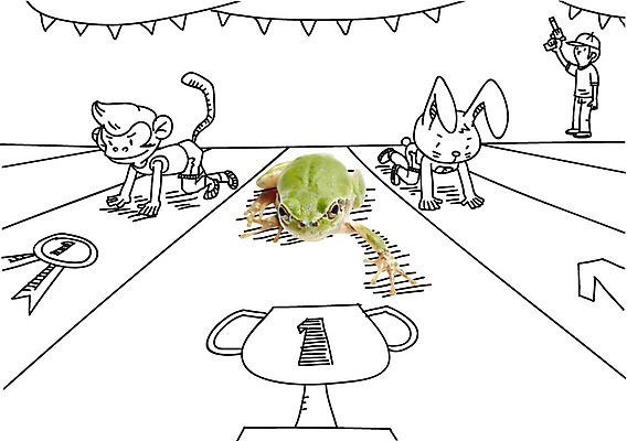 동물 편집 편집이미지 1 백그라운드 포토일러 세마리 개구리 한명 사람 숫자 원숭이 토끼 우승 트로피 디지털합성 합성 반려 이미지편집 AI파일 문자 포유류 3 양서류 반려동물 최고 상_우승 파일형식 벡터