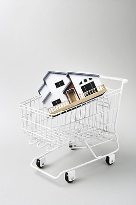 포토 JPG 스튜디오촬영 부동산 주택 실내 사람없음 경제 모형 카트 오브젝트 국내포토 내부 건물 재산 파일형식