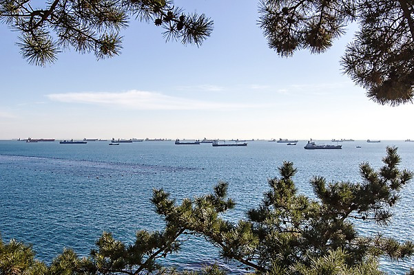 포토 JPG 주간 식물 구름 바다 배경화면 하늘 한국 풍경 사람없음 야외 소나무 부산 선박 영도 국내포토 자연요소 나무 아시아 수상교통 파일형식