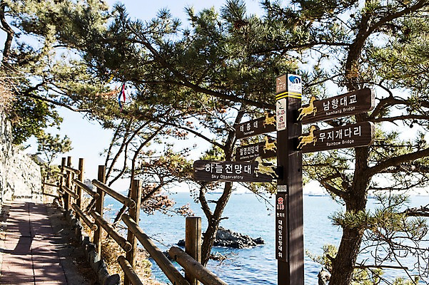 포토 JPG 주간 나무 바다 한국 알림판 풍경 해변 사람없음 야외 울타리 산책로 돌_바위 표지판 부산 갈맷길 영도 국내포토 자연요소 식물 아시아 길 담장 파일형식