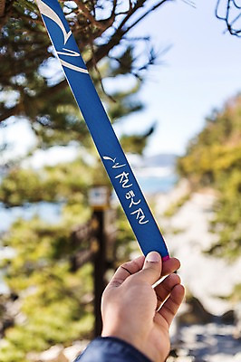 포토 JPG 주간 나무 손 한국 사람 풍경 야외 아웃포커스 신체부위 관광지 부산 갈맷길 영도 국내포토 자연요소 식물 아시아 여행 촬영기법 파일형식