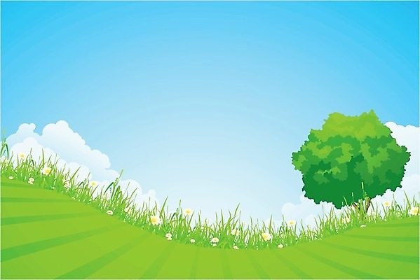 EPS 해외이미지 나무 식물 구름 꽃 잎 밭 일러스트 자연 하늘 풍경 야외 초록색 여름 파란색 환경 봄 시골 땅 언덕 캐모마일 수평선 해외202004 해외일러스트 자연요소 계절 컬러 농업 허브 생태계 파일형식 벡터 이미지허브