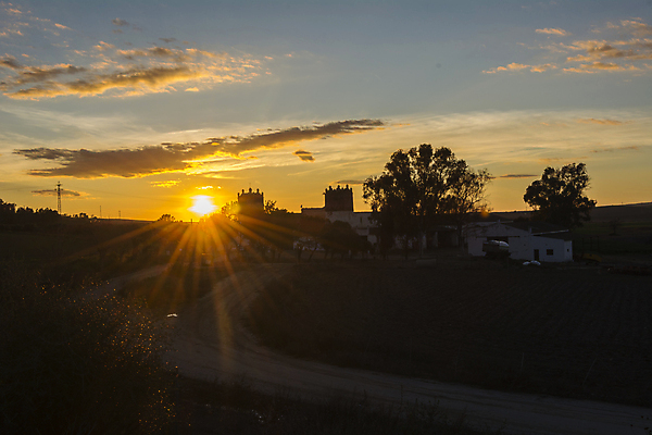 포토 JPG 해외이미지 나무 구름 라이프스타일 응시 계절 실루엣 여행 겨울 오렌지 자연 하늘 지붕 휴식 주택 풍경 사람없음 야외 여름 파란색 햇빛 농가 농장 일출 검은색 어둠 황혼 일몰 새벽 시골 고독 저녁 장면 해외202004 해외포토 자연요소 식물 시선 감정 컬러 컨셉 농업 과일 촬영기법 건물 생활 태양 노을 야간 생태계 파일형식 이미지허브