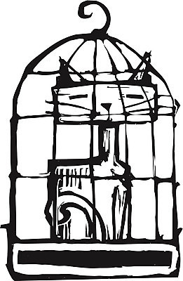 EPS 해외이미지 동물 일러스트 조류 동물원 안전 반려동물 고양이 새장 반전 해외202004 해외일러스트 컨셉 포유류 케이지 파일형식 벡터 이미지허브