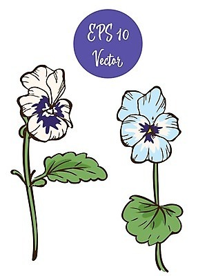 EPS 해외이미지 1 디자인 기념일 꽃잎 꽃 줄기 꽃다발 백그라운드 컨셉 잎 꽃무늬 데이트 일러스트 자연 휴가 발렌타인데이 선물 사랑 미술 장식 초록색 여름 파란색 정원 벚꽃 흰색 축하 신선 오픈 심볼 오브젝트 싱글 열정 고립 스타일 해외202004 해외일러스트 식물 계절 감정 컬러 무늬 데이이벤트 문화예술 이벤트 생태계 파일형식 벡터 이미지허브