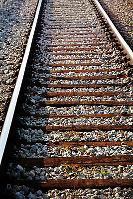 포토 JPG 해외이미지 산업 도로 교통수단 여행 곡선 교통시설 자연 사람없음 야외 목재 세로 금속 농촌 방향 되감기 철강 해외202004 해외포토 나무 길 선 교통 재료 재질 시골 시설 생태계 파일형식 이미지허브