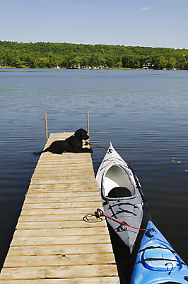 포토 JPG 해외이미지 나무 동물 호수 여유 바다 여행 휴가 털 경비 사람없음 야외 물 강 여행객 항구 검은색 개 강아지 작음 갑판 카약 솜털 송곳니 경보 뱃놀이 해외202004 해외포토 자연요소 식물 감정 컬러 배_교통 포유류 교통시설 안전 사람 반려동물 전통놀이 수상스포츠 치아 보호 크기 파일형식 이미지허브