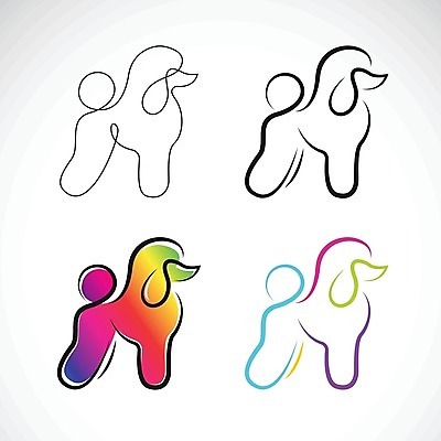 EPS 해외이미지 일러스트 사람없음 반려동물 컬러풀 검은색 흰색 개 강아지 푸들 해외202004 해외일러스트 동물 컬러 포유류 파일형식 벡터 이미지허브