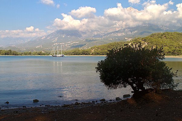포토 JPG 해외이미지 나무 구름 실루엣 모래 파도 바다 여행 잎 요트 자연 하늘 휴가 항해 파노라마 그림자 풍경 사람없음 물 파란색 햇빛 여행객 만 보트 휴양지 함선 천국 해외202004 해외포토 자연요소 식물 컬러 배_교통 촬영기법 사람 태양 장소 생태계 파일형식 이미지허브