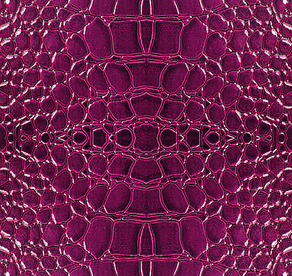 포토 JPG 해외이미지 동물 백그라운드 패턴 가방 파충류 자연 프레임 미술 사람없음 빨간색 갈색 유행 검은색 희망 핸드백 뱀 고급 가죽 피부 질감 눈금 악어 소가죽 수하물 효과 해외202004 해외포토 잡화 감정 컬러 컨셉 무늬 문화예술 신체부위 생태계 파일형식 이미지허브