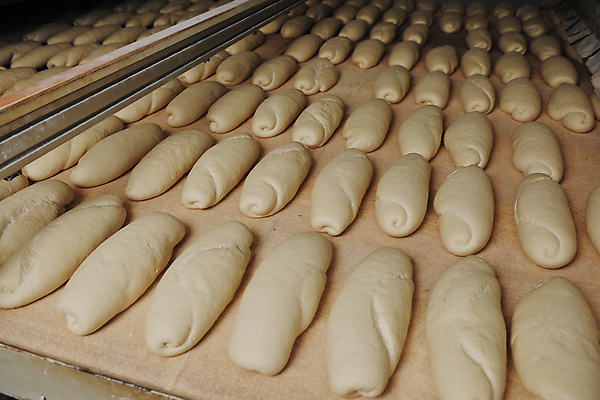 포토 JPG 해외이미지 빵 공장 실내 사람없음 반죽 일렬 많음 해외202004 해외포토 음식 컨셉 공업 내부 파일형식 이미지허브